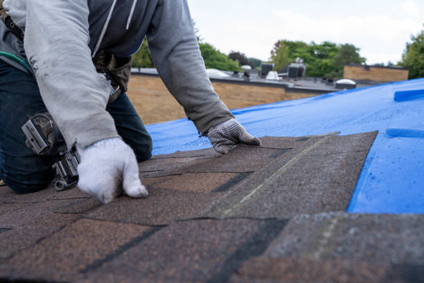 Best Roof Gutter Cleaning  in West Alexandria, OH