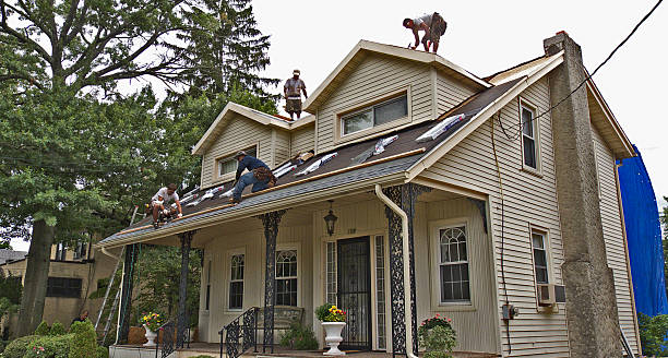 Best Gutter Installation and Roofing  in West Alexandria, OH