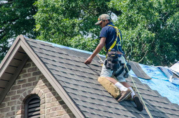 Best New Roof Installation  in West Alexandria, OH